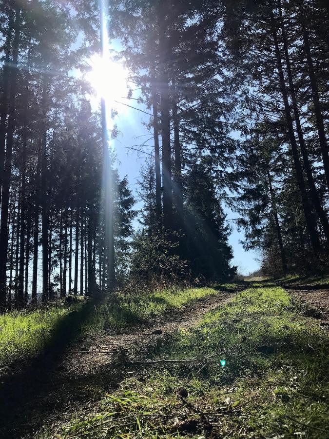 Chalet Bergliebe Brilon Zewnętrze zdjęcie