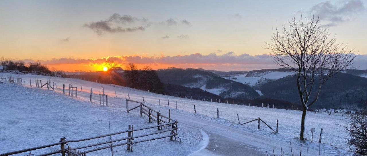 Chalet Bergliebe Brilon Zewnętrze zdjęcie